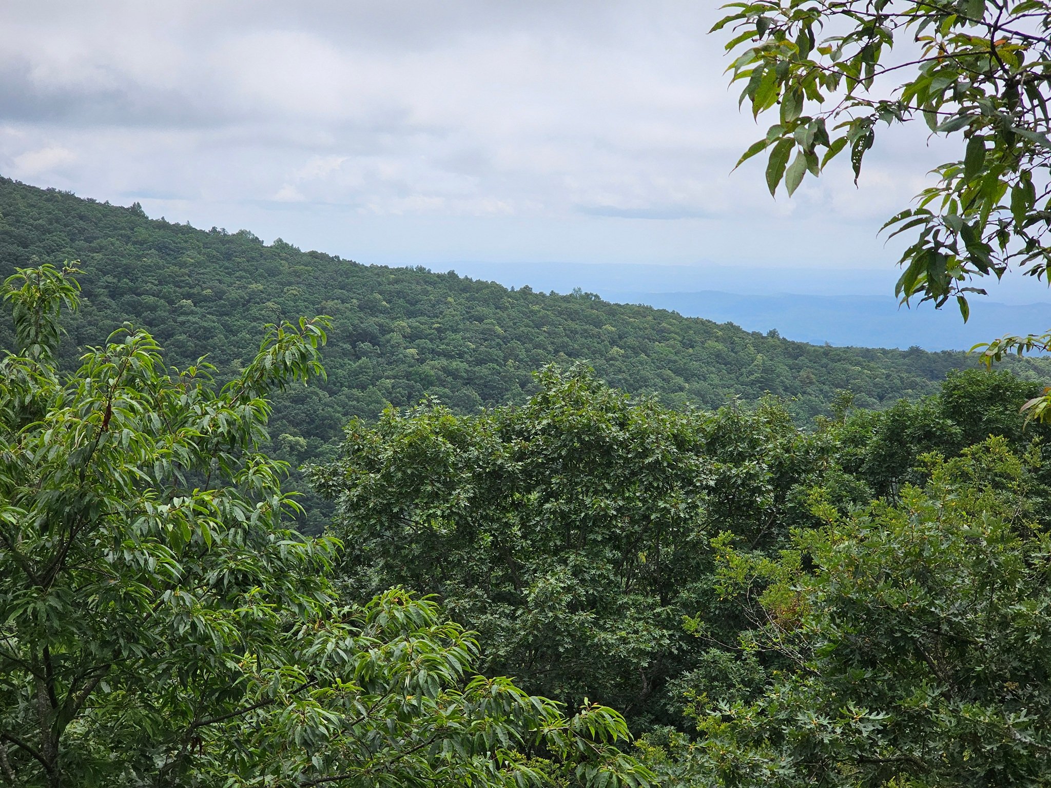There was a better view as we heading back on the southwest side of Tray Mtn.