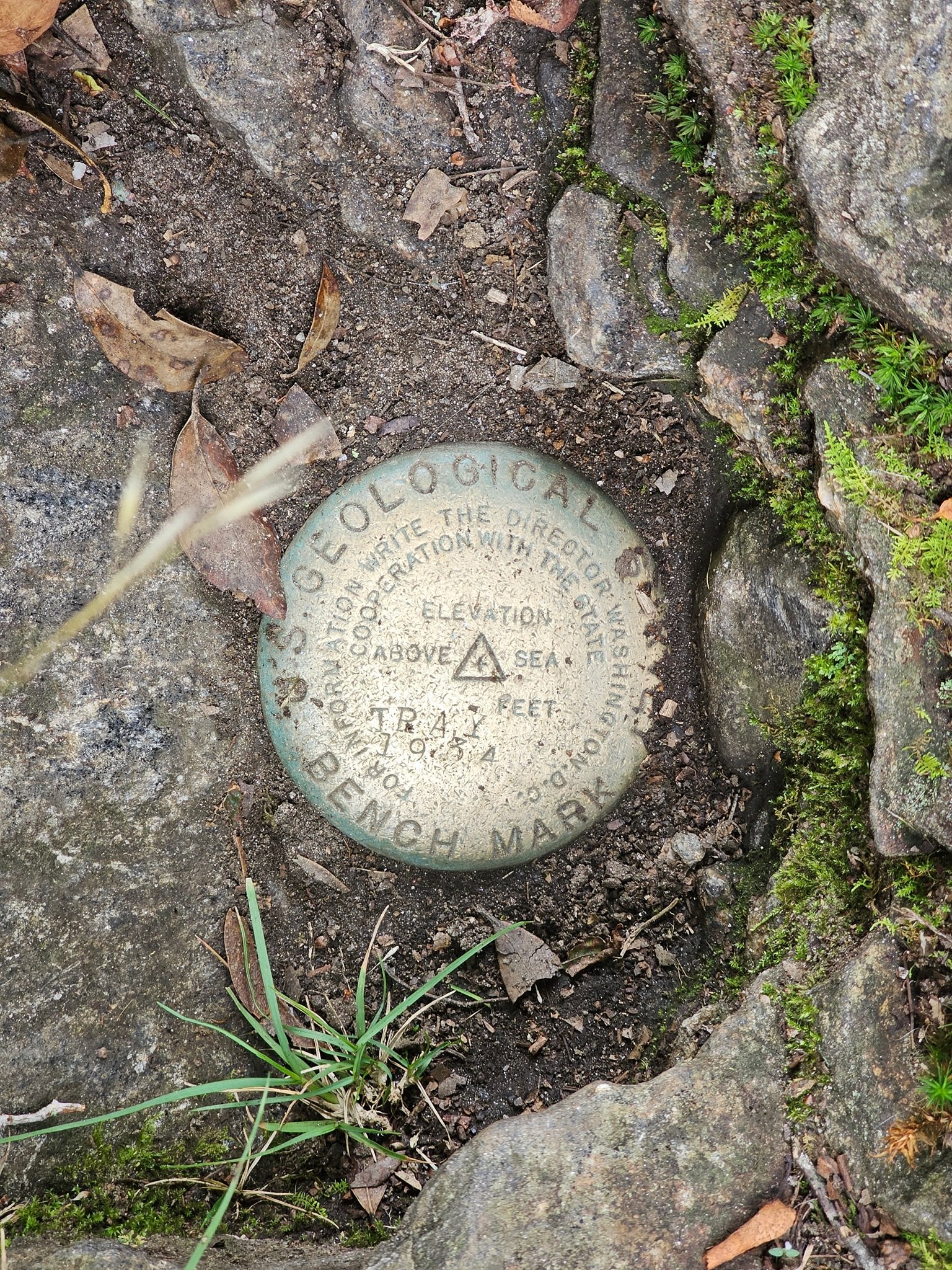 See, we really did reach to top of Tray Mtn.