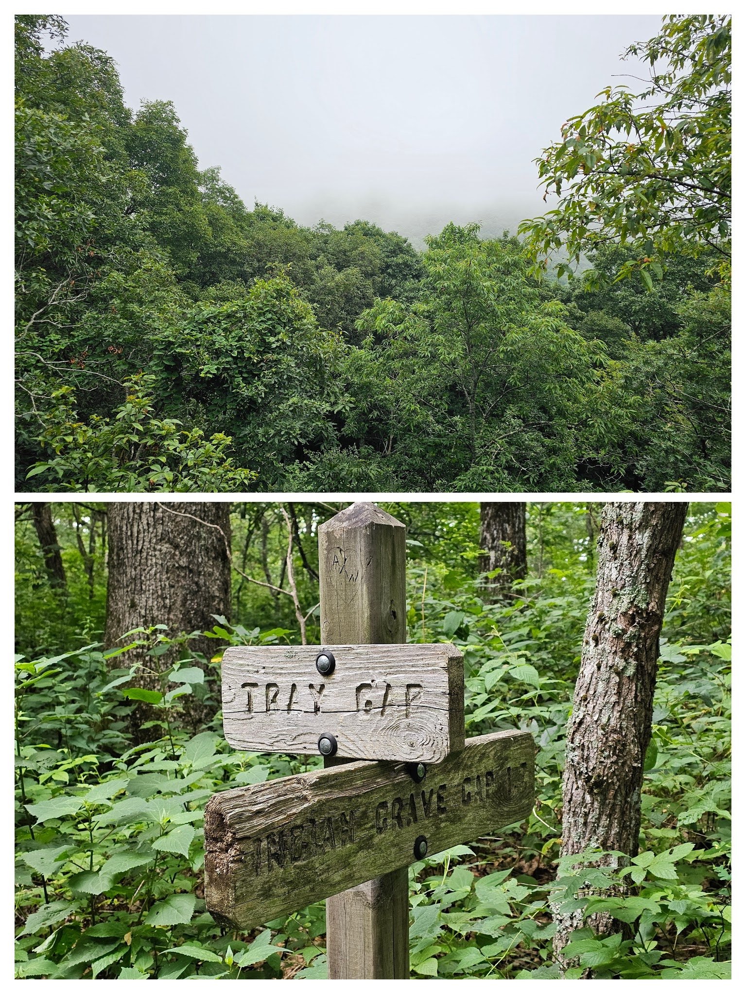 Just a foggy view prior to reaching Tray Gap.