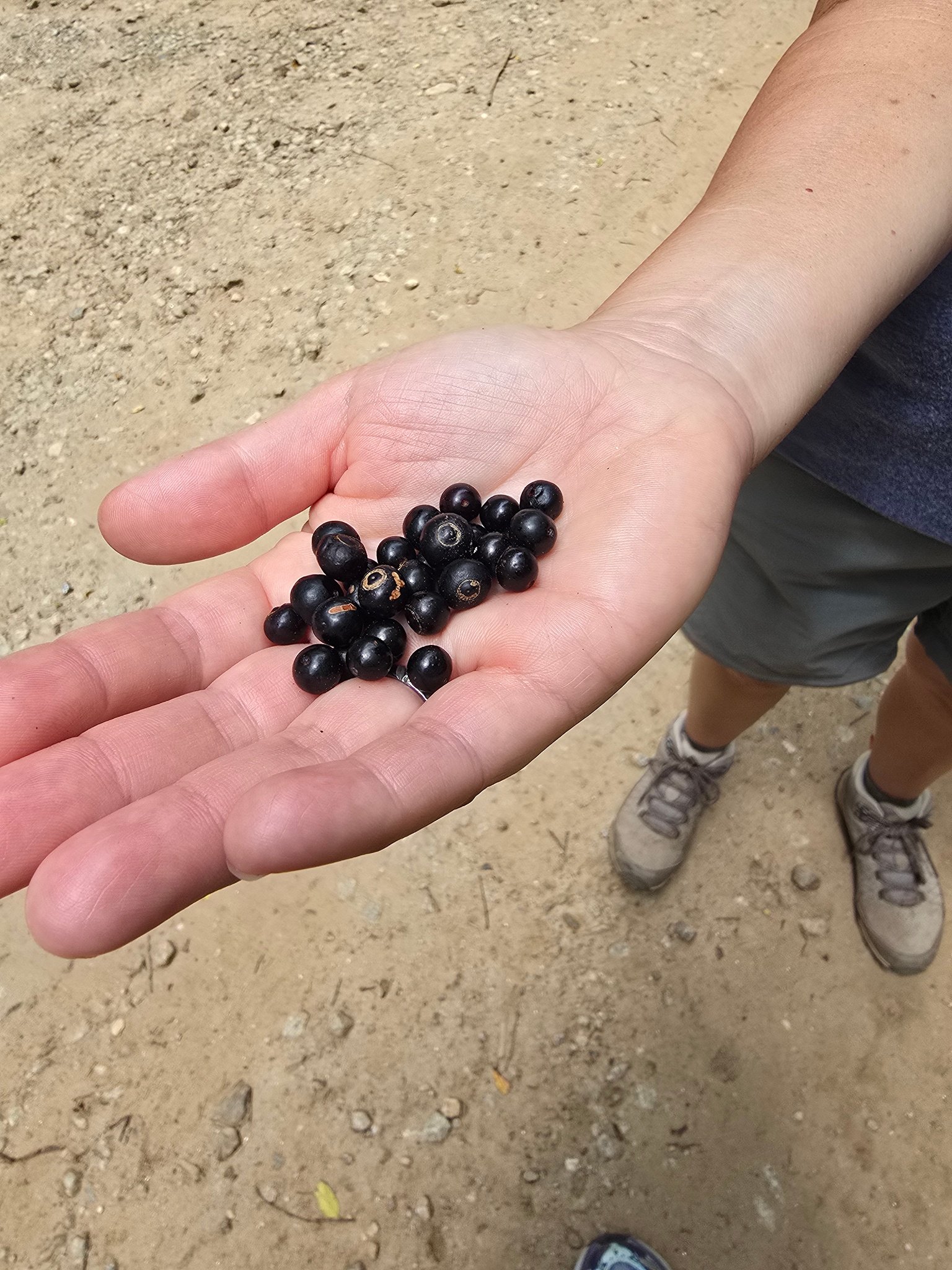 Heather offers us some huckleberries she picked