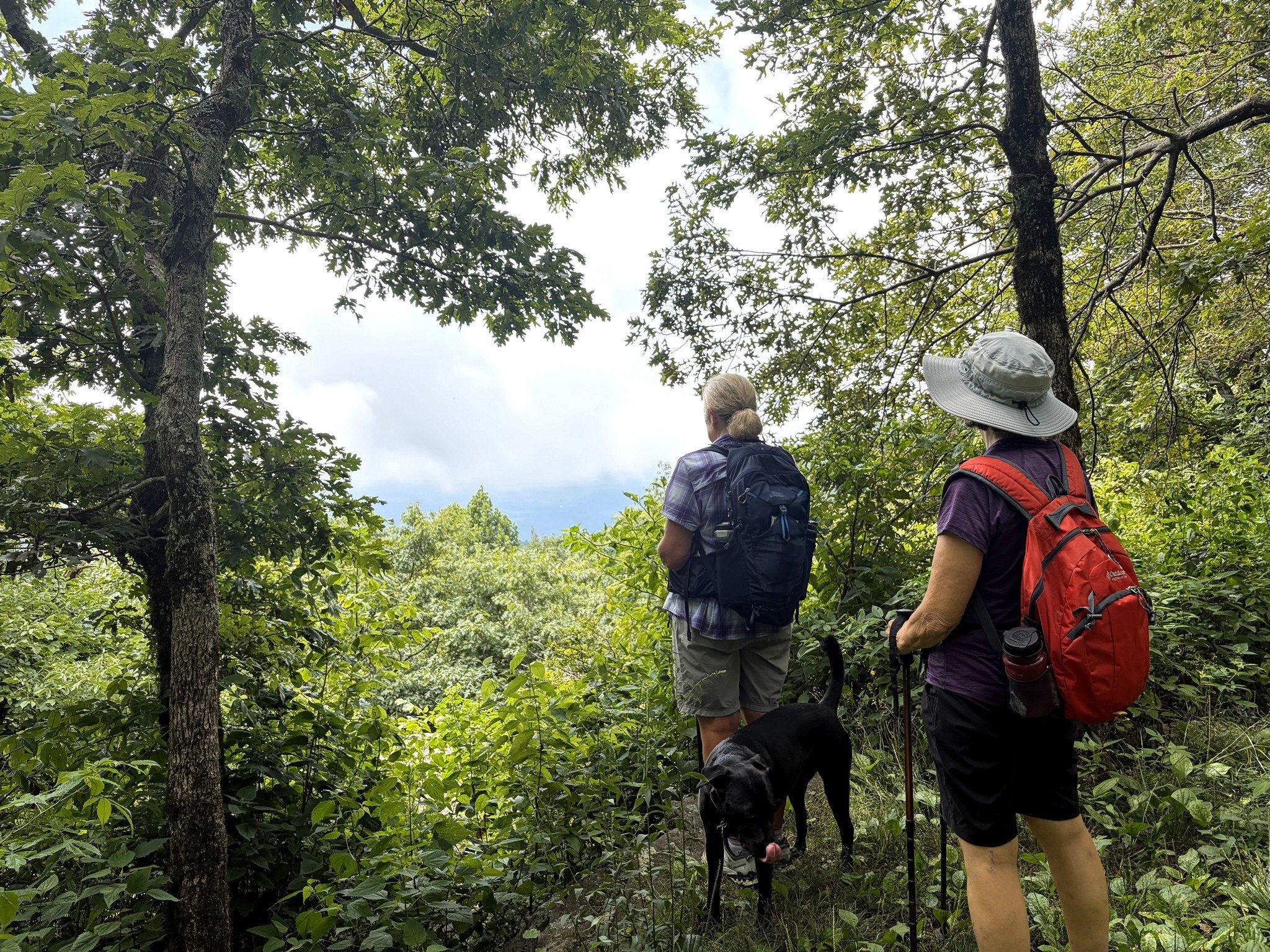 Cindi and Alicia hoping for a clearer view heading back.