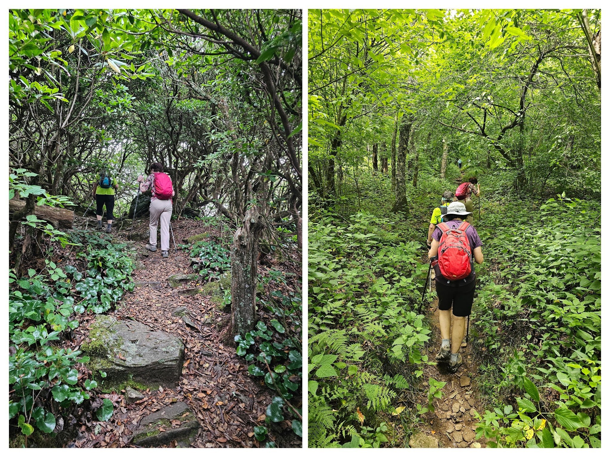 Headed back up Tray Mountain from the shelter before the final long hike down.