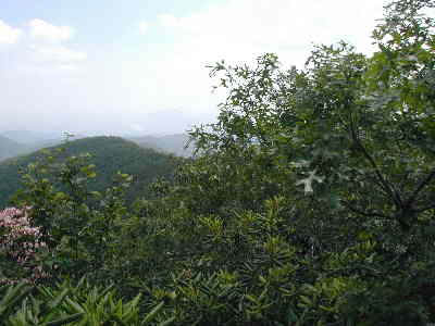 View 2 from Tray.