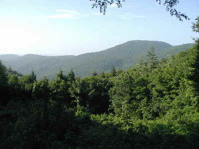 The view from Osage Over-look.