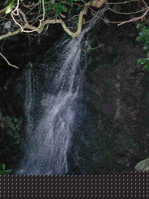 A nice small waterfalls a short distance above Hwy 106.