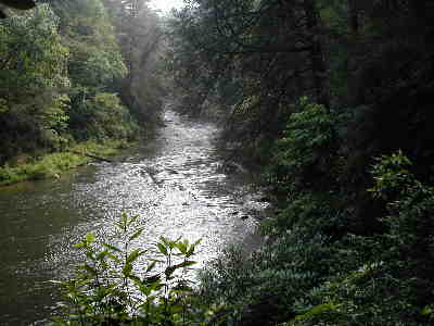 Much of the hike follows the Beautiful Chattooga River.