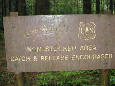 Trout fishing sign at the Chattooga and East Fork junction.