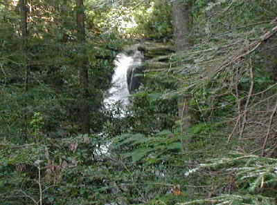The trail follows Dodd Creek all the way to the Cliffs. You hear the pleasant sounds of rushing water for the entire distance.