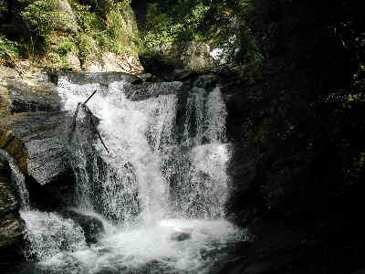Dodd Creek forms a nice and noisy falls adjacent to Dukes Creek Falls.