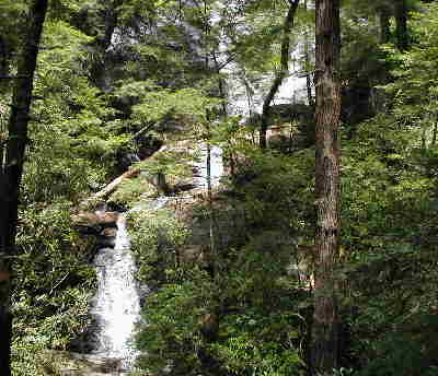 Dukes Creek Falls cascades 250 ft. as Davis Creek joins with Dodd Creek to become Dukes Creek.