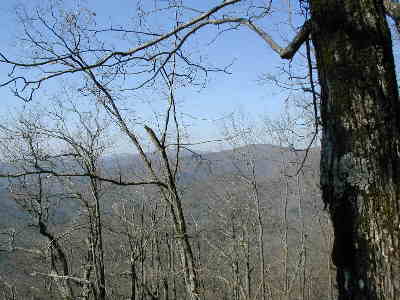 This is a typical view seen along the A.T. from Cooper Gap to Hightower Gap.