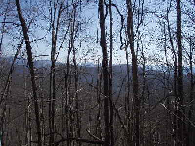 The beauty of a hike in the North GA Mountains.