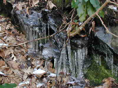 April 1st - icicles along the trail!