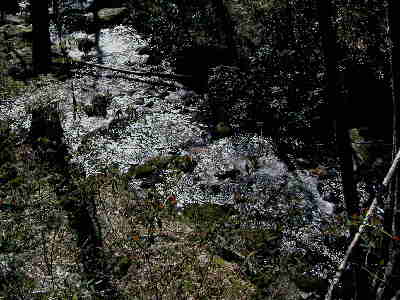 The trail starts off along the Tallulah River.