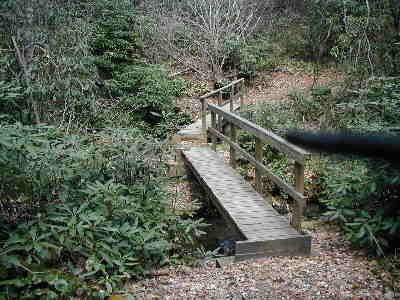 The trail is very well maintained.