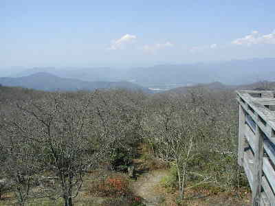 A hazy day with limited visibility on Rabun Bald, but still beautiful.