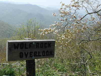 Our Lunch Spot.