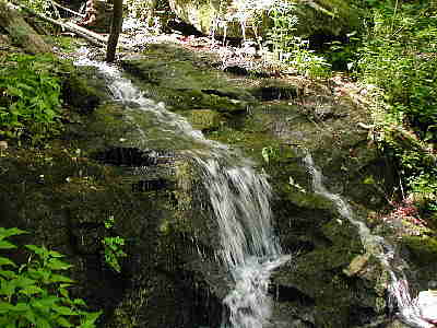 There are several small creeks and waterfalls.