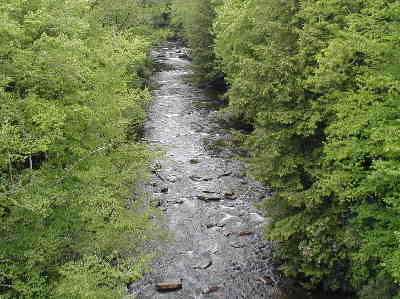 Whitewater River above the falls.