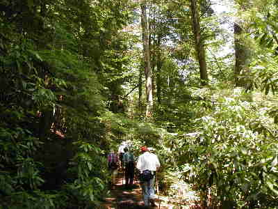 A nice, moderatly easy hike with a comforting canopy of trees for the entire distance.