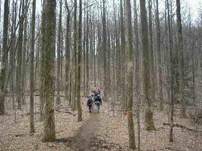A beautiful hike through a tall hardwood forest.