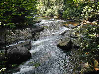 Our lunchtime destination was the Thompson River.
