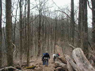 A moderately hilly walk to Gooch Gap.