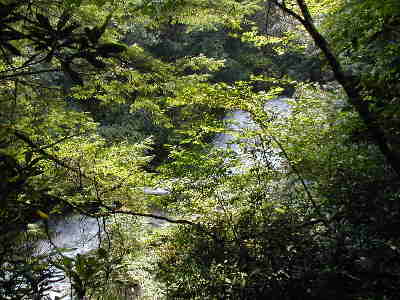 At Lick Log Creek, you pass by two waterfalls. This is the first falls.
