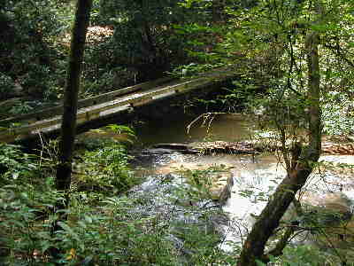 The foot-bridge at Lick Log Creek.