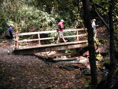 All of the creeks and streams have nice footbridges.
