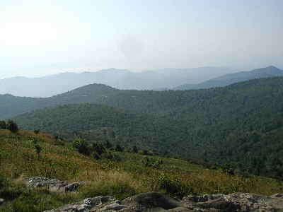 One of the views from the top! There is a 360 degree view from here!