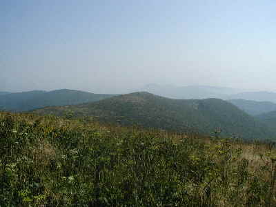 The view from Black Balsam over to Tennent Mountain. On the horizon beyond Tennent, you can see Mt. Pisgah in the haze (if you squint!).