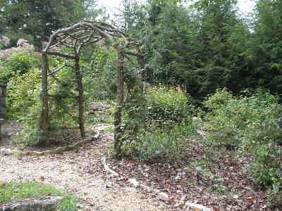 The trails at the Botanical Gardens offer many seasonal wildflowers in bloom.