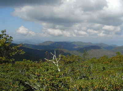 Great views from the tower! Here we look northward into the Smokies.