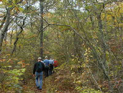 After lunch - hiking back down Yellow Mtn.