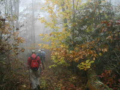 Heavy fog was with us all day, but, it still beats working!