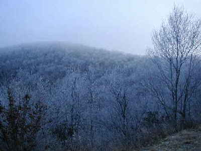 A view from Cow Rock.