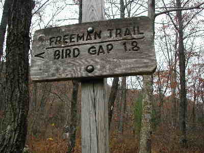 The Freeman Loop Trail to Bird Gap.