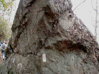 This portion of the A.T. features very large boulders all along the trail.