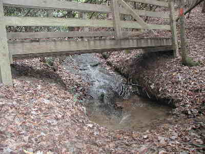 The creeks have nice foot bridges.