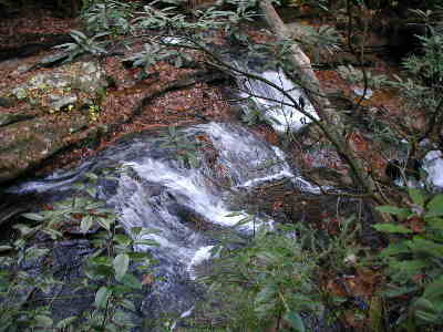 Martin Creek