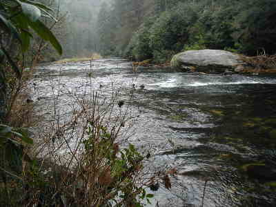 The trail follows the shorline of the Chattooga for most of the hike.