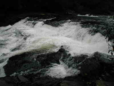 Big Bend Falls! A very loud roar here!