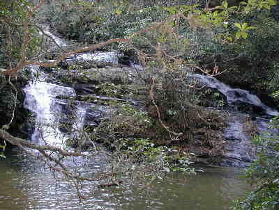 About a half-mile into the hike, we passed by Lick Log Creek Falls.
