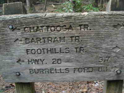 The trail junction just past Lick Log Falls.
