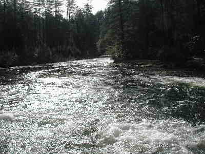 The Chattooga National Wild and Scenic River!