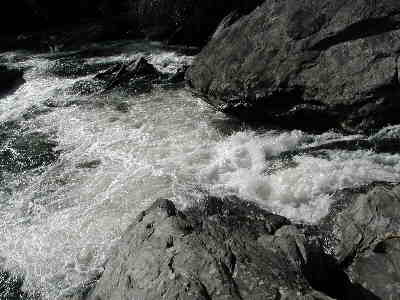 More Wild and Scenic!
