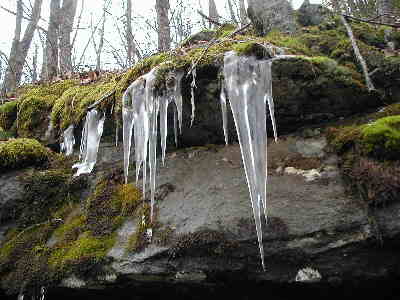 It is starting to get cold in the N. GA mountains!