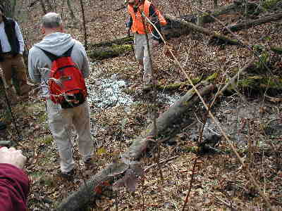 A short side trail at Chattahoochee Gap leads to the spring that is documented to be the official "headwaters of the Chattahoochee River".