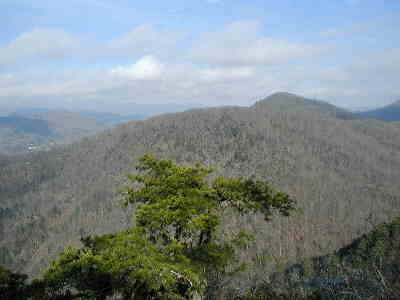 One of the views from Pinnacle Mountain!